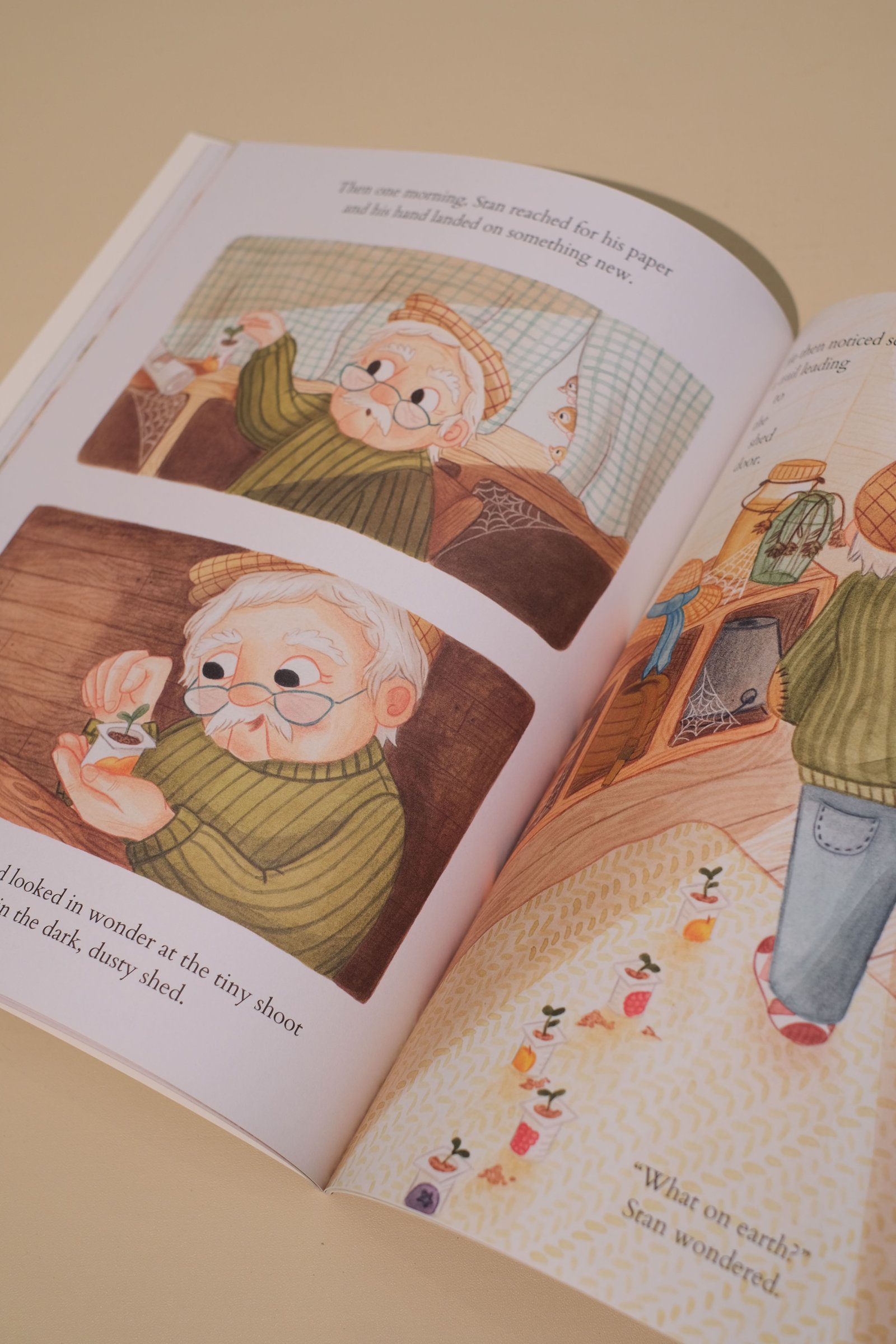 Picture books for early grades